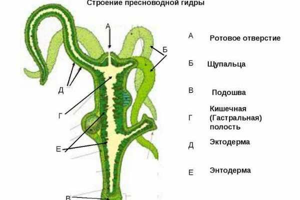 Кракен шоп зеркало