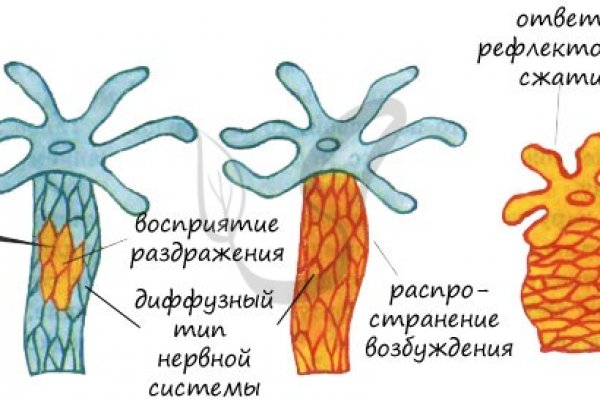 Кракен ссылка список