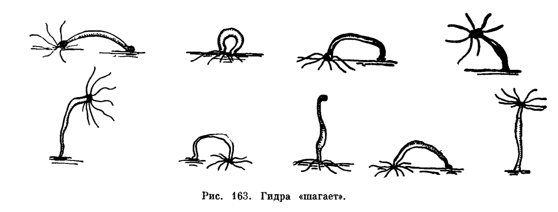 Kraken сайт зеркала